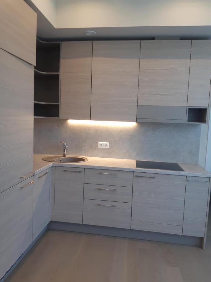 Apartment In Druskininkai City Centre Zewnętrze zdjęcie