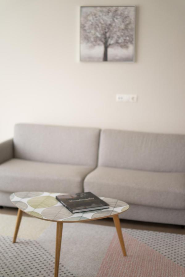 Apartment In Druskininkai City Centre Zewnętrze zdjęcie
