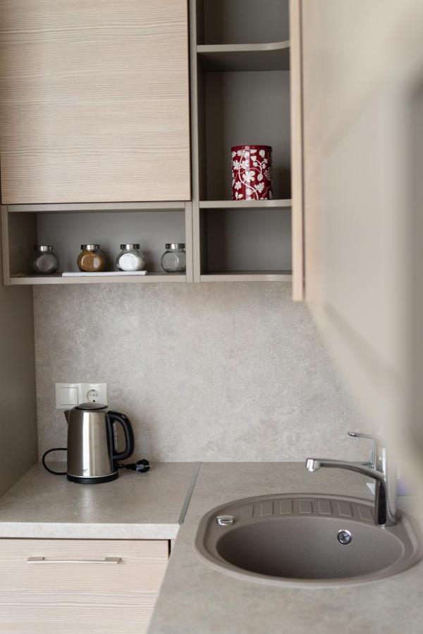 Apartment In Druskininkai City Centre Zewnętrze zdjęcie