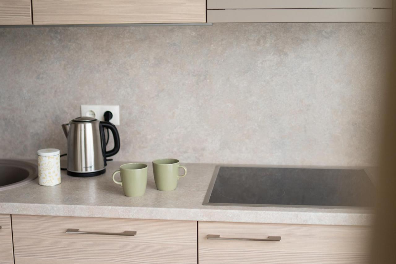 Apartment In Druskininkai City Centre Zewnętrze zdjęcie